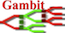 The Gambit Project logo