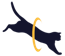 Catrobat (formerly Catroid Project) logo